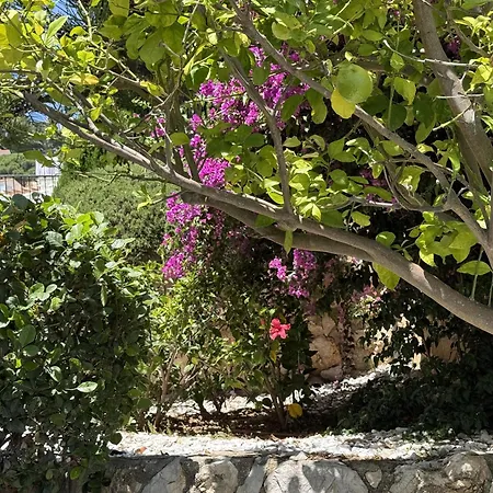 Canestel * Peñíscola